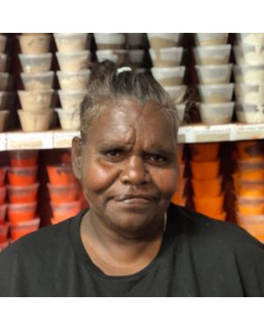 Ingrid Napangardi Williams - Peinture art Aborigène Australie